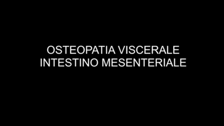 OSTEOPATIA VISCERALE - INTESTINO MESENTERIALE - Anteprima
